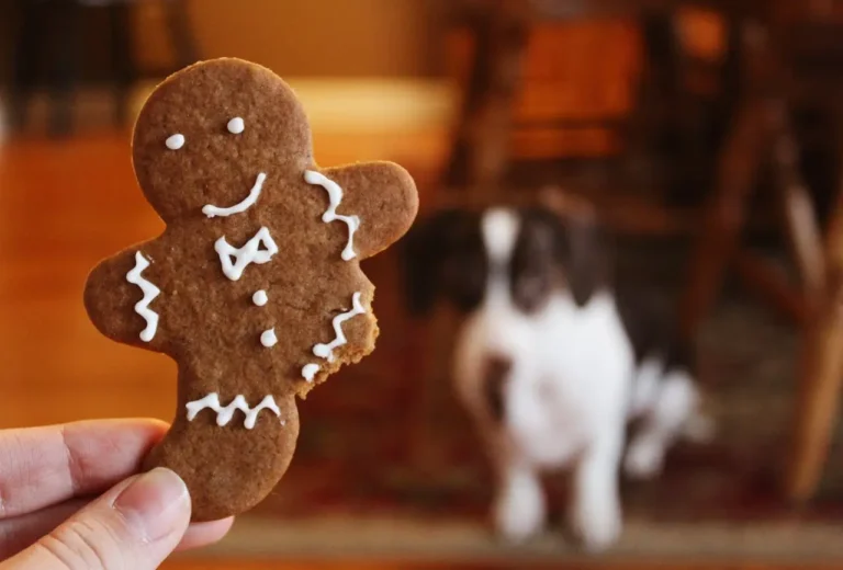 nombres de alimentos para perros