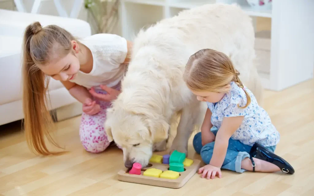 ejercicios para perros