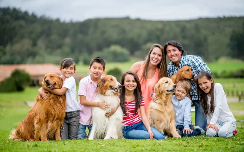 importancia del cuidado de los perros