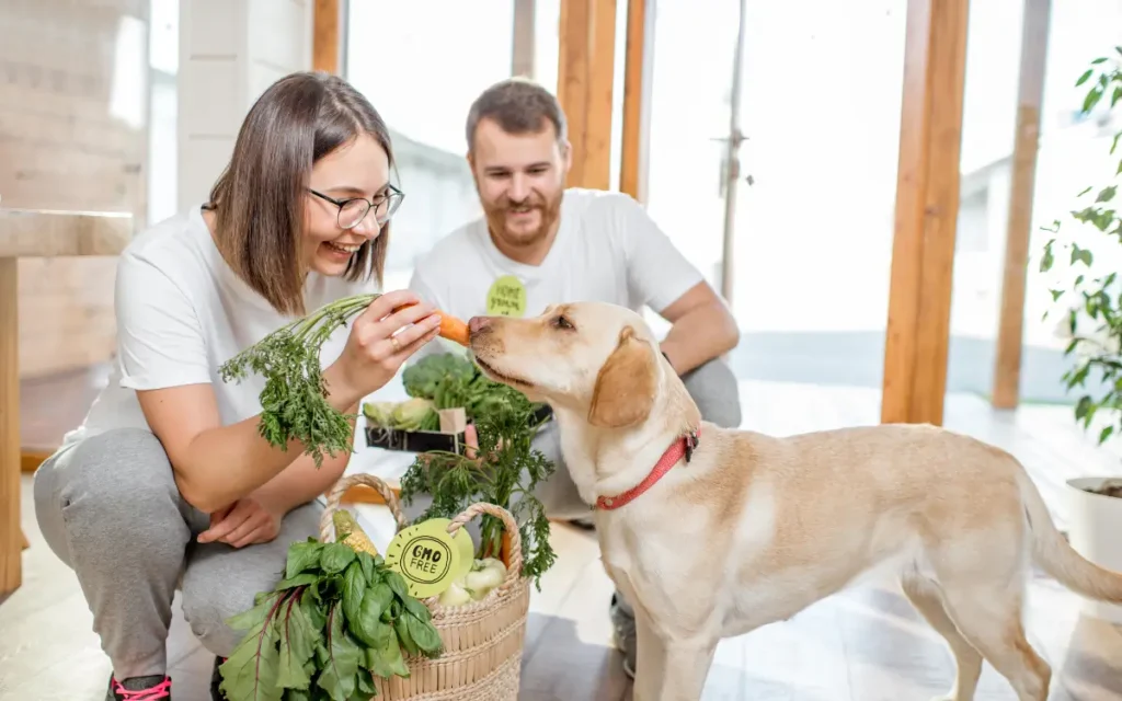 importancia del cuidado de los perros