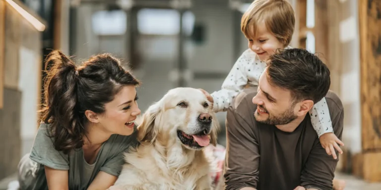 importancia del cuidado de los perros