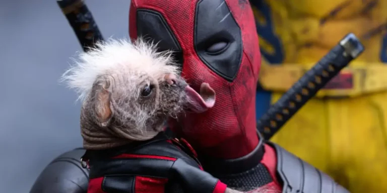 el perro deadpool