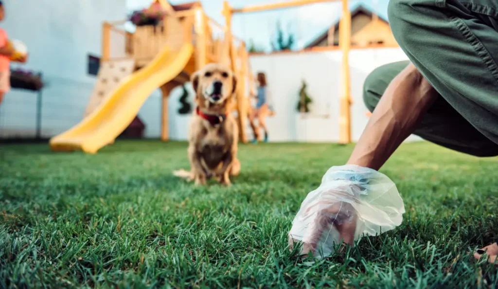 Por qué Mi Perro se Come Su Popó