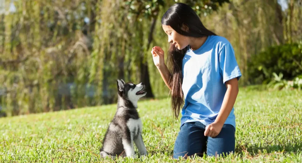 Perro se Come Su Popó